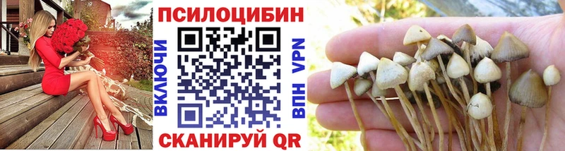 Галлюциногенные грибы мицелий  Купить где  Иланский 